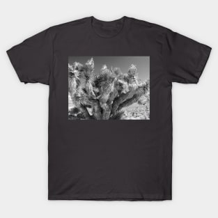 Joshua Tree T-Shirt